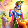 Icoon van programma: Lord Krishna 4k Wallpaper