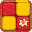 Icon of program: Block Slide Master: Color…