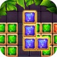 Icon of program: Block Puzzle - Gem Elimination