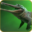 程序图标:Crocodile Hunting Simulat…