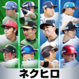 Programikonen: プロ野球ネクストヒーローズ