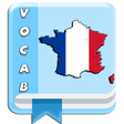 Programikonen: French Vocabulary By Topi…