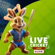 ไอคอนของโปรแกรม: RTS Cricket - Live Cricke…