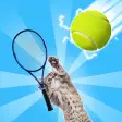 Tennis Cat - Funny Meme Cat
