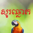 Programikonen: Ask The Parrot