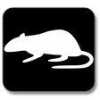Ikon program: Ratmania