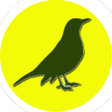 Programikonen: Vogels