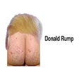 Icoon van programma: President Rump
