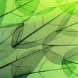 程序图标：Leafy Structures