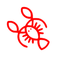 Programikonen: Lobstr.io Account Sync