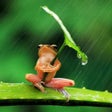 Rain HD Wallpaper icon