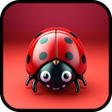 Ícone do programa: Ladybug Pattern Quest