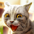 Programikonen: Cat Simulator 2