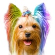 ไอคอนของโปรแกรม: Colorize