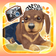Programikonen: My Dog My Room Free