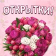 프로그램 아이콘: Открытки на все случаи жи…