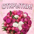 Programikonen: Открытки на все случаи жи…