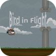 ไอคอนของโปรแกรม: Bird in Flight