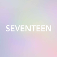 程序图标：SEVENTEEN LIGHT STICK VER…