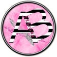 Programikonen: AB Designs Co.