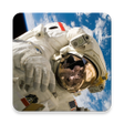 程序图标：Grade 12 Physical Science…
