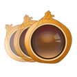 Icon of program: Onion Photo Skin