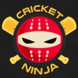 Programikonen: Cricket Ninja - Fast Live…