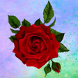 أيقونة البرنامج: WASticker Roses stickers