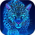プログラムのアイコン：Neon Animals Wallpapers