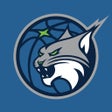 Icoon van programma: Minnesota Lynx