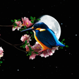 Icon of program: Sakura and Bird Live Wall…