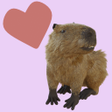 Capybara Sticker