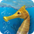 Icoon van programma: Seahorse 3D