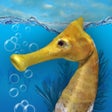Programikonen: Seahorse 3D