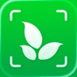 Ikon program: Plant Identifier App Plan…