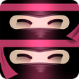 プログラムのアイコン：The Last Ninja Twins