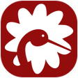 StarAndDaisy - Baby  Kids icon