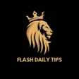 プログラムのアイコン：Flash Daily Tips