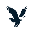 程序图标：American Eagle India