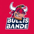 Иконка программы: Bullis Bande