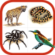 Ícone do programa: Wildlife Southern Africa