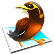 Icône du programme : Myna