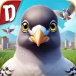 Pigeon pop