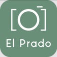 El Prado Museum Visit  Guide