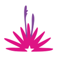 Icon of program: Visit El Paso