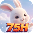أيقونة البرنامج: 75HWeave