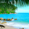 プログラムのアイコン：Relaxing Beaches
