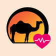 Programikonen: Leadway Health