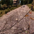 Icon of program: Electricity Half Fence Po…