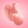 Ikona programu: Pregnancy and Due Date Tr…